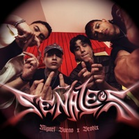 Señales - Single