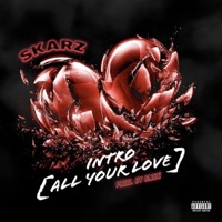 Intro (All Your Love) [feat. Skarz] - Single - Bnizz