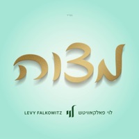 Mitzvah (Live) - Single - Levy Falkowitz