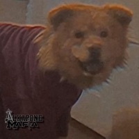 PIKANTE - Single - 2001Chalito