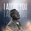 I Adore You