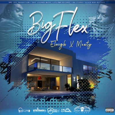 Big Flex - Single