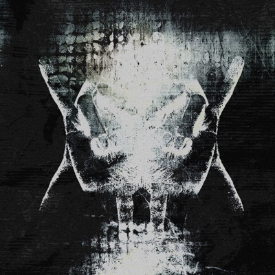 DISTORTION + FORME - Single