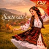 Chef Moldovenesc - Șapte sate