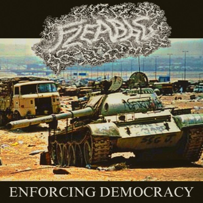 Enforcing Democracy - Single
