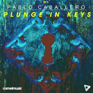 Plunge in Keys - Single