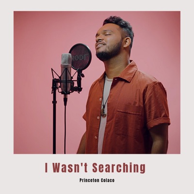 I Wasn't Searching (Stripped Down Version) - Single