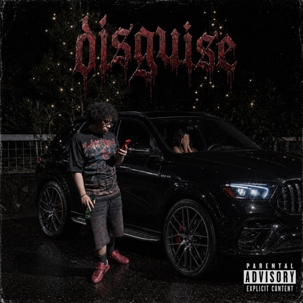 Disguise