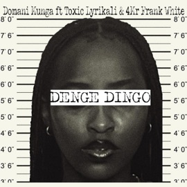Denge Dingo (feat. Toxic Lyrikali & 4Mr Frank White) Domani Munga
