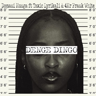 Denge Dingo (feat. Toxic Lyrikali & 4Mr Frank White) - Single