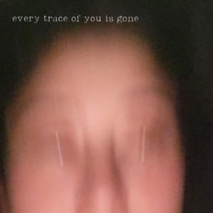 Every Trace of You is Gone - EP