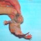 PET ZEPPELIN - Pet Grotesque lyrics