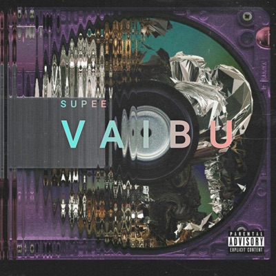 Vaibu - Single