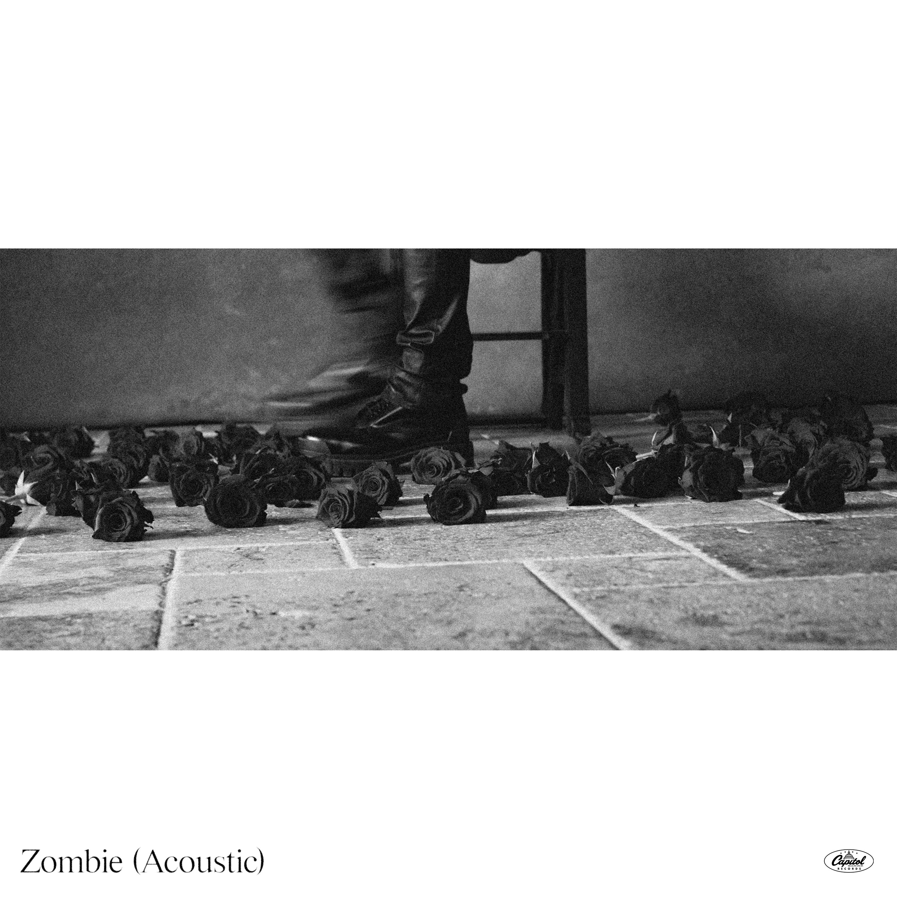 Zombie (Acoustic) - Single