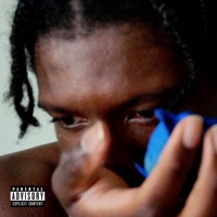 Flowers of Zollikerstrasse (feat. BIG-N, MARTIAL! & Swish Beatz) - Single - Chris Siders