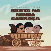 Senta na Minha Carroça (feat. Dj Fonzie) - Single - Pedro Volt, Mc Toy & Kelven Barbosa