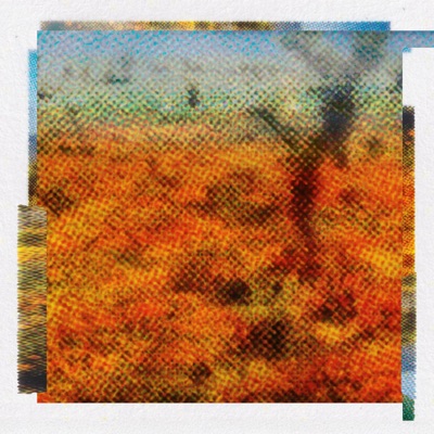 superbloom (brompton remix) - Single