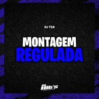 Montagem Regulada - Single - DJ TZ8 & Só Hits Records