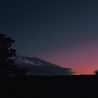 burning out (feat. Zionjuice) - Single - NeverxHappy