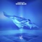 Wide Blue - fwd/slash lyrics