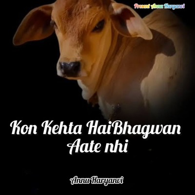 Kon Kehta Hai Bhagwan Aate Nhi - Single