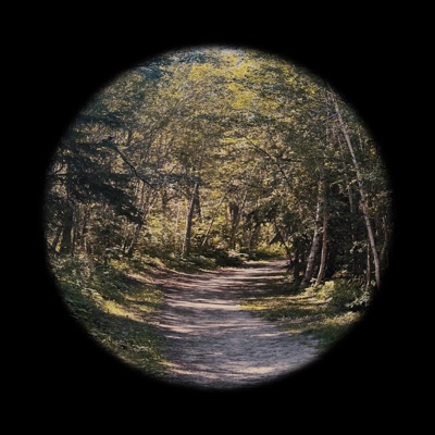 looking glass - Single