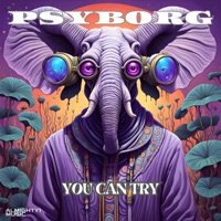 You Can Try - Single - Psyborg