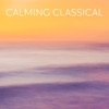 Laurent Tanguy Paula Calming Classical Music