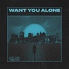 Want You Alone - Single