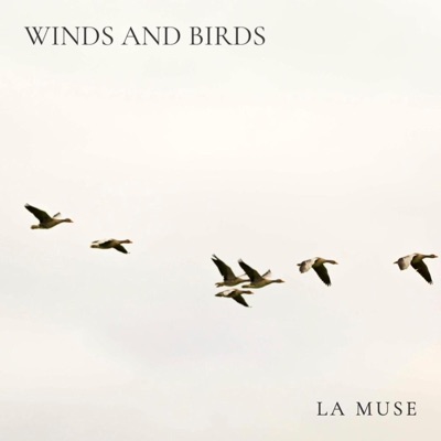 Winds And Birds - Single