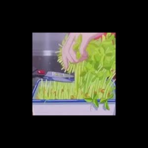 Grounded - Single