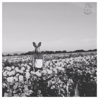 Fvck whit that problem$! - Single - Bad Green