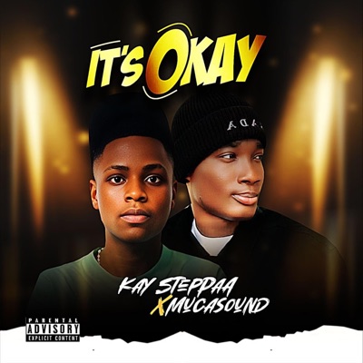 It's Okay (feat. Mucasound) - Single