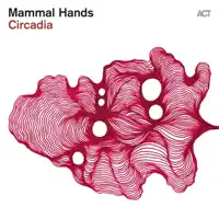 Thread in the Dark — Mammal Hands