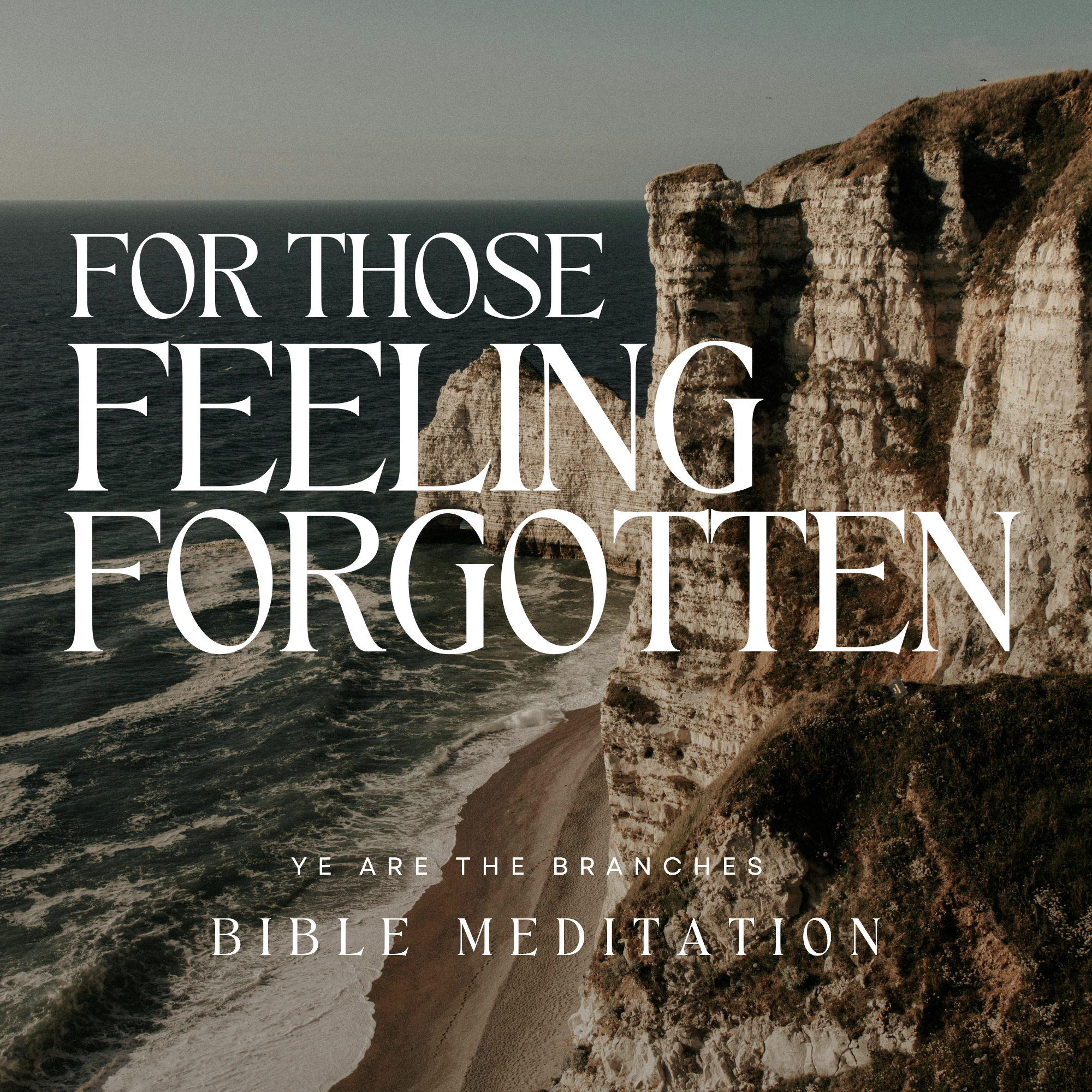 For Those Feeling Forgotten (Bible Meditation)