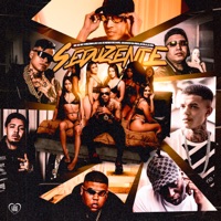 Seduzente (feat. MC Lele JP, Salvador Da Rima, MC Cebezinho, Mc GP & Mc Negão Original) - Single - Oldilla, Menor Richard & DJ GM