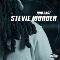 Stevie Wonder (feat. JujuRast) - Single - GrindGangTV