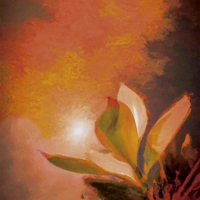 Mi Corazón - Single