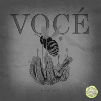Vocé Slowed (feat. Bad Bee) - Single - Sloweed
