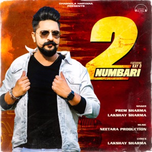 2 Numbari (feat. Kay-D)