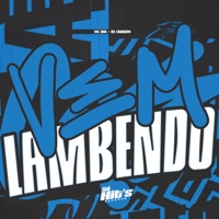 Vem Lambendo - Single - DJ CAUAZIM & MC Eva