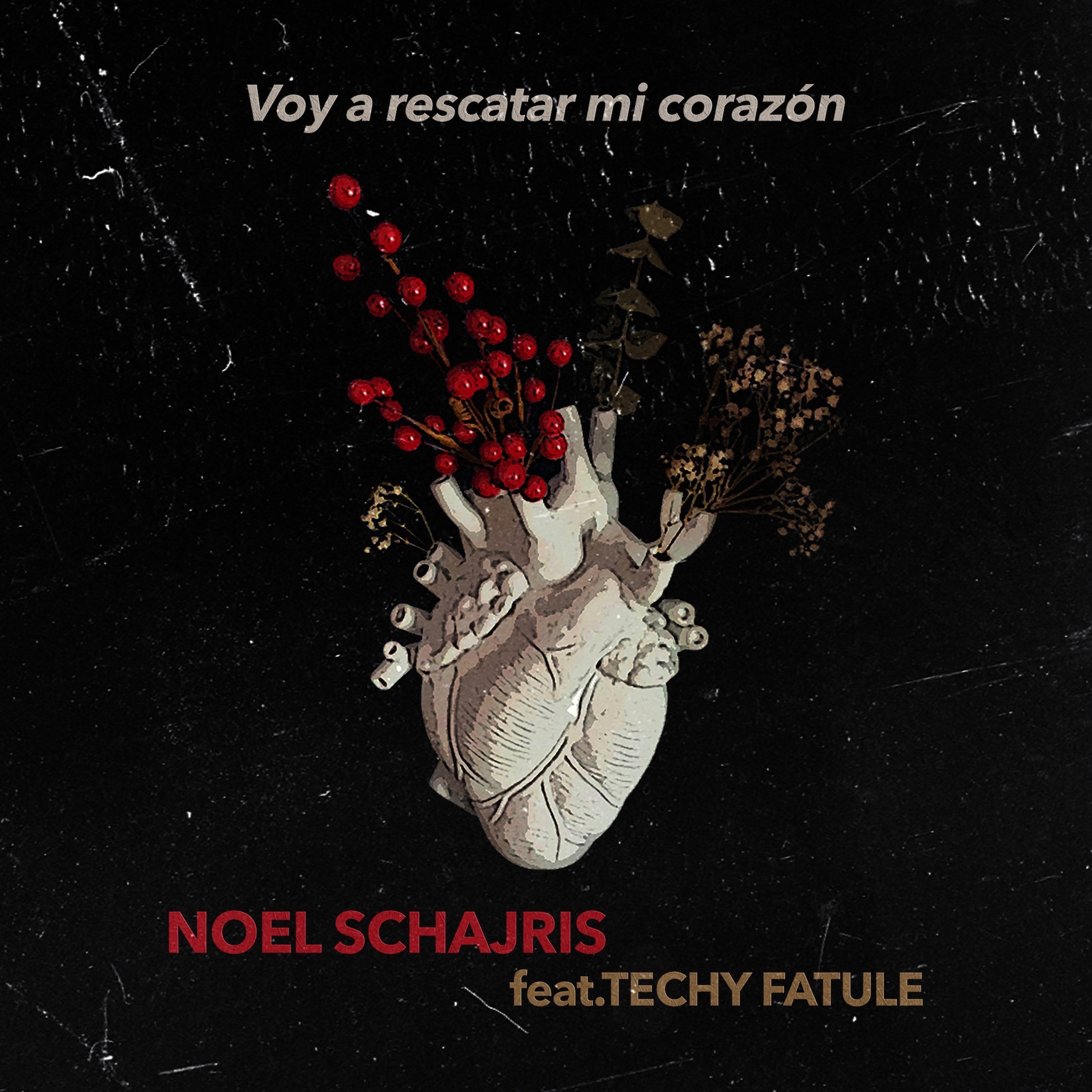 Voy a Rescatar Mi Corazón (feat. Techy Fatule) - Single