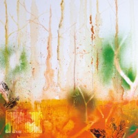 Translucent - The Choir