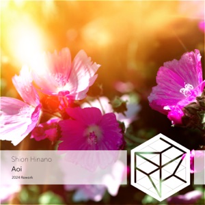 Aoi 2024 Rework - Single