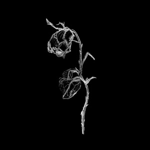 Moving On - Single