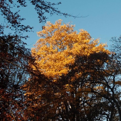 Better in time - Single