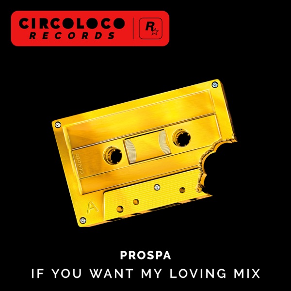 If You Want My Loving Mix (DJ Mix)