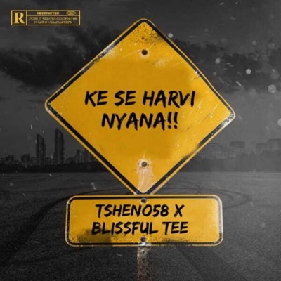 Ke se Harvi Nyana!!! - Single