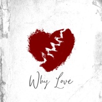 Why Love (feat. Kidd Sirachi) - Single - Prodijae