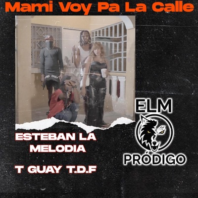 Mami Voy Pa La Calle (feat. T Guay T.D.F) - Single